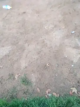 KINGJACKOFF online show from 12.26.24