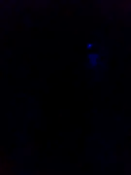 Snapshot of dotado20robson chatting on 02.16.26 dotado20robson online show from 02.16.26