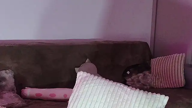 Eva Millar online show from 02.21.26