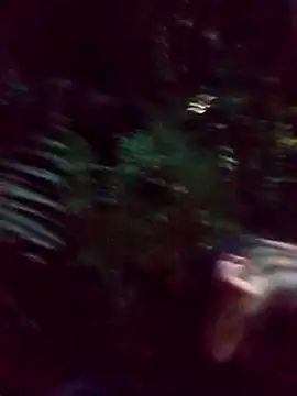 Snapshot of mis312 chatting on 03.05.25 mis312 online show from 03.05.25