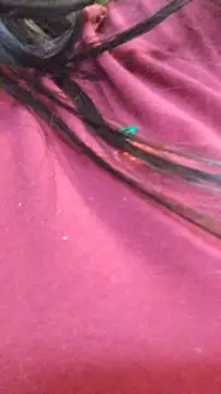 ailyn miranda online show from 11.29.25