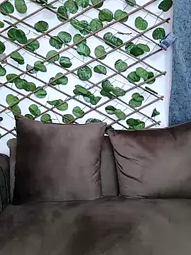 Bold-Cat online show from 12.05.24