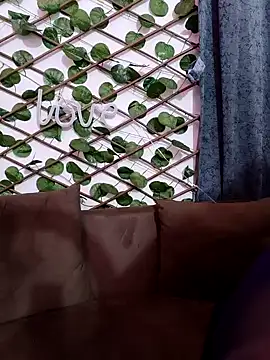 Bold-Cat online show from 02.07.25