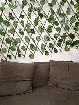 Bold-Cat online show from 10.02.25