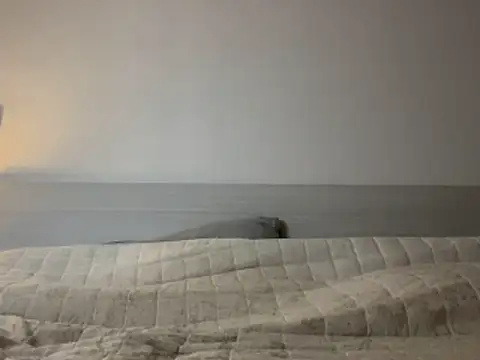 Diletta21 online show from 02.11.26