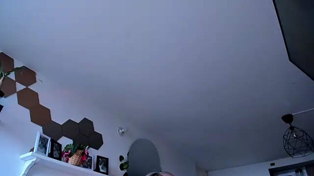 evy orange1 online show from 03.05.26