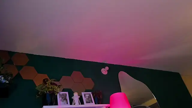 evy orange1 online show from 04.16.26