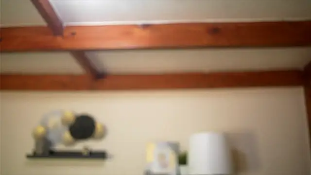 Bellis Perenis online show from 02.18.26