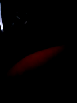 Snapshot of pascalino100 chatting on 04.04.26 pascalino100 online show from 04.04.26