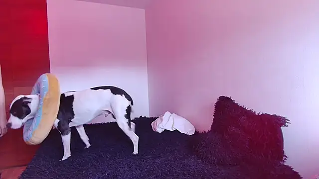 Snapshot of bellatrix25 chatting on 01.30.25 bellatrix25 online show from 01.30.25