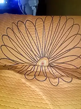 Snapshot of Professor_Leo_ chatting on 11.30.25 Professor Leo online show from 11.30.25