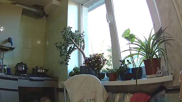 BroadFantasy online show from 09.11.25