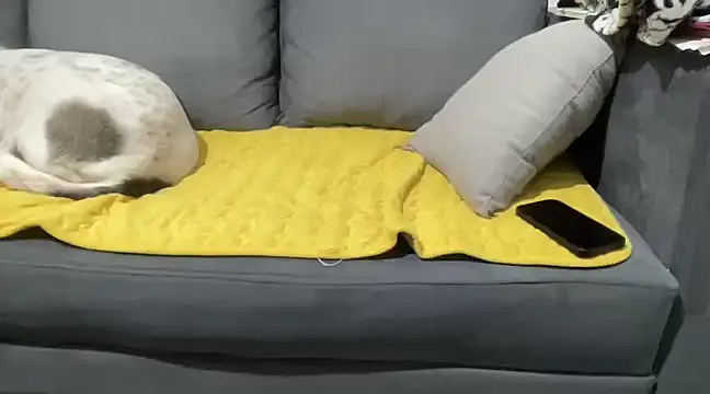 4small4inchlol online show from 01.28.25