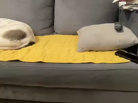 4small4inchlol online show from 01.10.26