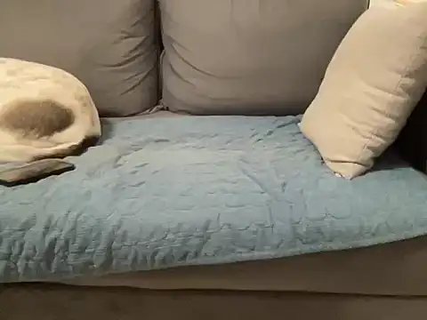 4small4inchlol online show from 02.20.26