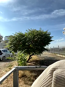 Snapshot of SandraCarter chatting on 09.18.25 SandraCarter online show from 09.18.25