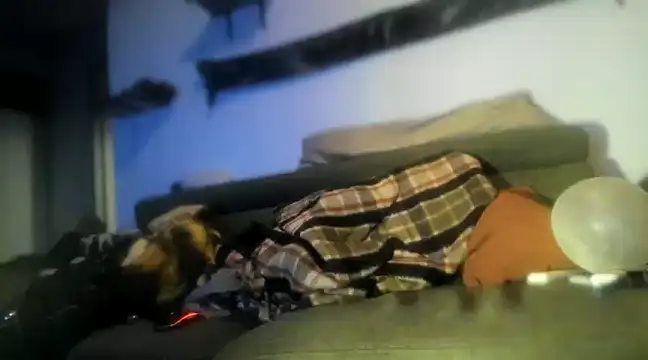 P4RtYBOII92 online show from 02.01.25