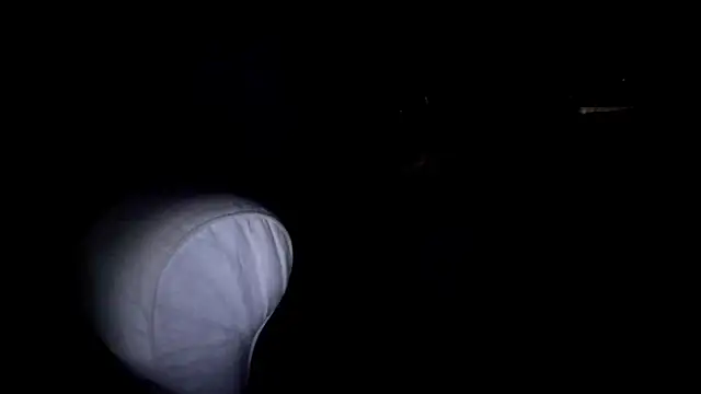 Snapshot of byakkotorra chatting on 03.05.25 byakkotorra online show from 03.05.25