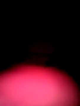 Snapshot of Porco81cazzo chatting on 12.04.25 Porco81cazzo online show from 12.04.25