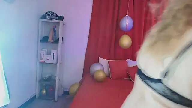 girl amada online show from 02.10.26