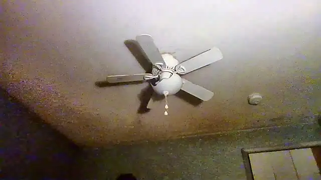 VanceFontaine online show from 04.20.26