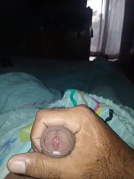 taylorWiiz online show from 03.03.26