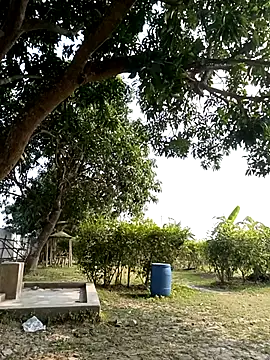 Hot Urvi online show from 12.19.25