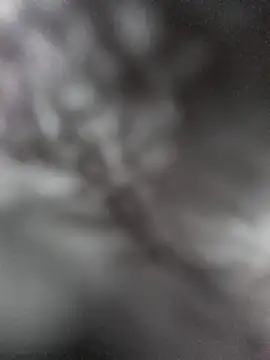 hungarian dick online show from 01.31.25