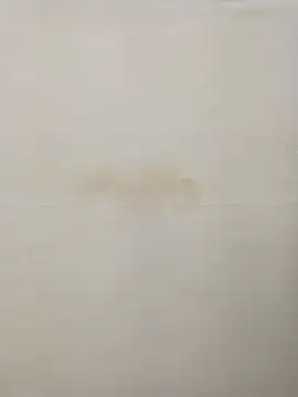 Rina777o online show from 12.30.24