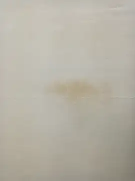 Rina777o online show from 01.27.25