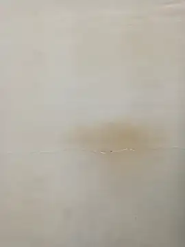 Rina777o online show from 03.07.25