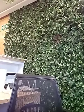   JaviJavi online show from 03.15.26