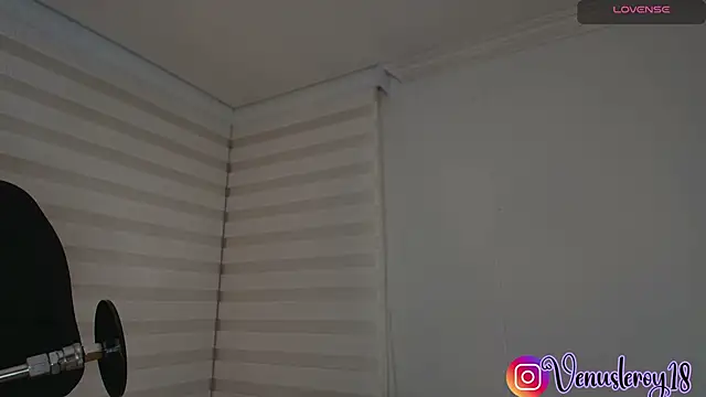 Snapshot of venusleroy_ chatting on 10.24.25 venusleroy online show from 10.24.25