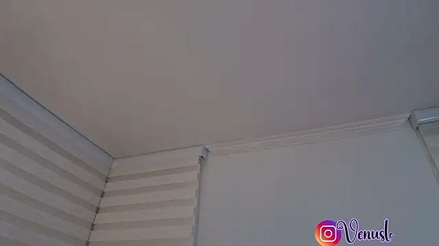 Snapshot of venusleroy_ chatting on 12.04.25 venusleroy online show from 12.04.25