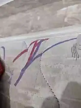 Snapshot of lm279 chatting on 02.18.25 lm279 online show from 02.18.25