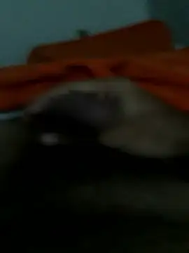 Snapshot of lm279 chatting on 01.14.26 lm279 online show from 01.14.26