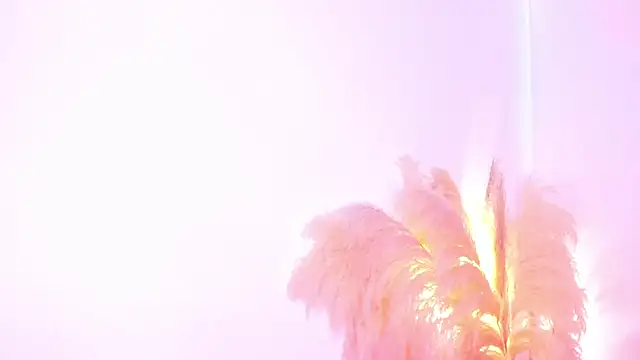 amelie murphy  online show from 02.02.25