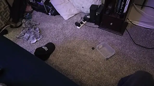 Snapshot of ChillzPnp chatting on 11.03.25 ChillzPnp online show from 11.03.25