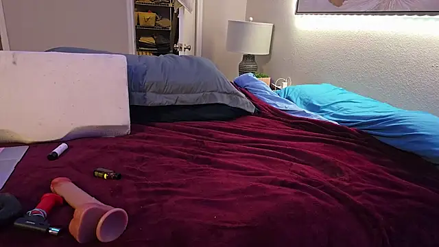 Snapshot of ChillzPnp chatting on 12.02.25 ChillzPnp online show from 12.02.25