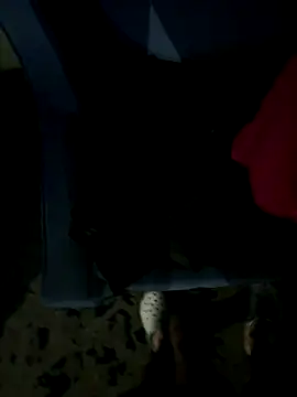 JosephAKenwood online show from 12.02.25