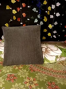 Snapshot of Sony-Model chatting on 11.15.25 Sony-Model online show from 11.15.25