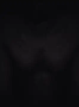 Snapshot of Keshuloveyou chatting on 12.20.24 Keshuloveyou online show from 12.20.24