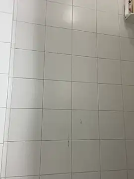 elolotero online show from 01.27.25