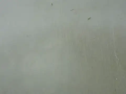 Snapshot of dickrus0077 chatting on 02.25.25 dickrus0077 online show from 02.25.25