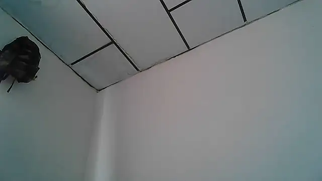 Alphadavid 23 online show from 04.30.26