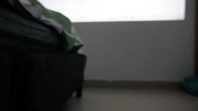 salimonroy online show from 04.23.26