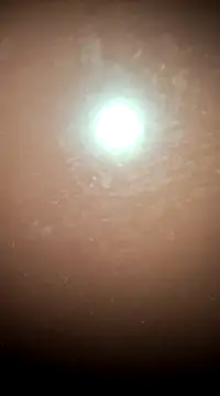 tall nangu online show from 02.21.25