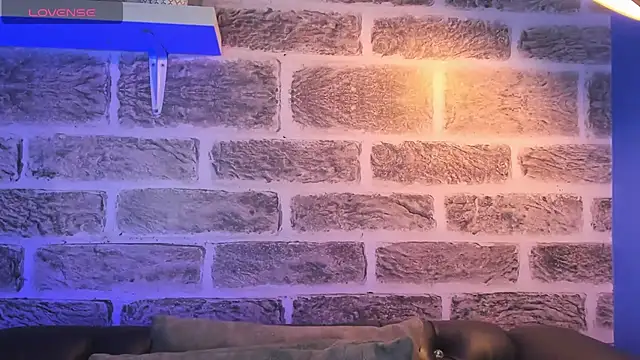 noah ricci online show from 10.14.25