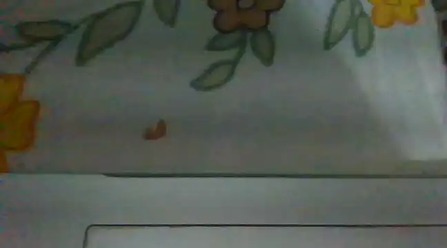 Snapshot of biggest_lund_ chatting on 12.28.24 biggest lund online show from 12.28.24