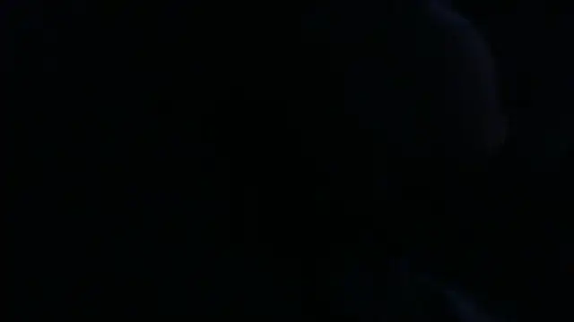 openallforyou online show from 02.24.26